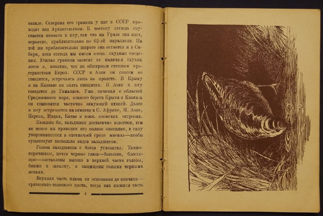 Вальдшнеп. Охотничья монография (Ленинградгубкохотсоюз, 1926)
