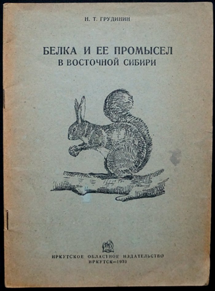 Белка и её промысел в Восточной Сибири (биология, организация охоты и первичная обработка шкурок)