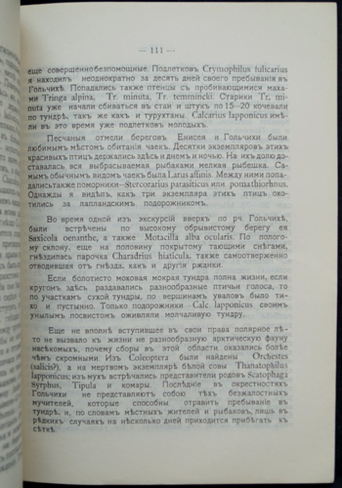 Известия Красноярского подотдела Восточно-Сибирского отдела Императорского Русского географического общества. Том II, выпуски 3–4