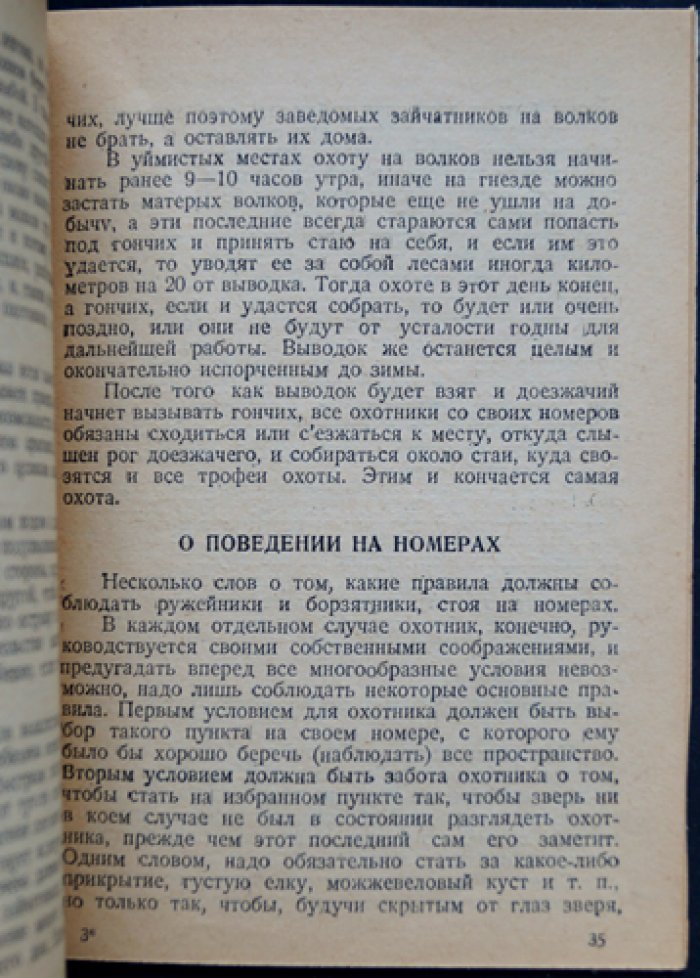 На волков по чёрной тропе. Охота с гончими и борзыми в охотничьей практике