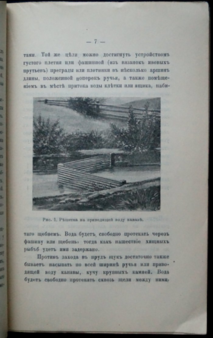Разведение рыбы в небольших прудах (практическое иллюстрированное руководство)