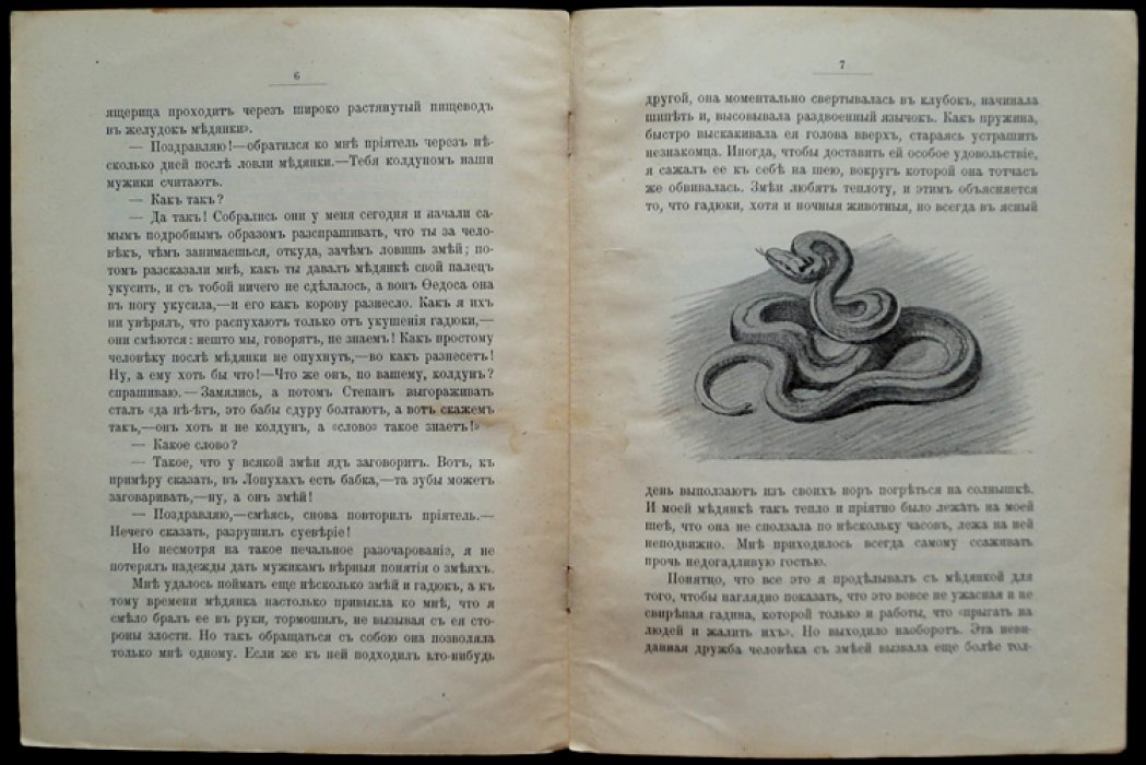 «Родная природа: “Слово” знает» — книга А. Чеглока о жизни и наблюдениях за окружающим миром