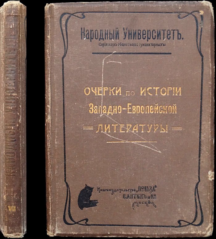 Очерки по истории западно-европейской литературы (1908) — развитие литературных течений в свете материалистического понимания истории