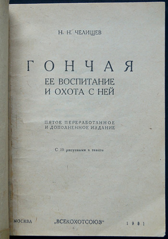 Гончая: её воспитание и охота с ней