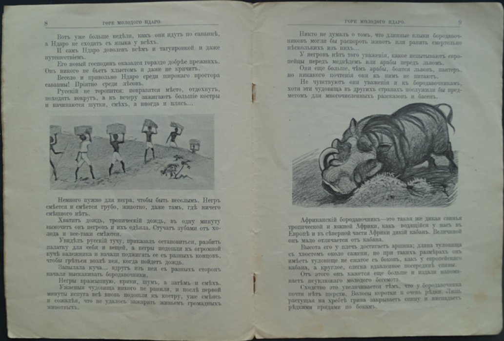 Чеглок (Усов А.А.). Горе молодого Ндаро: из жизни бородавочников (1915)