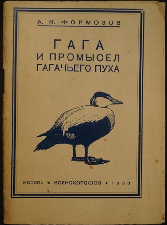Гага и промысел гагачьего пуха: распространение, биология и рациональные методы добычи