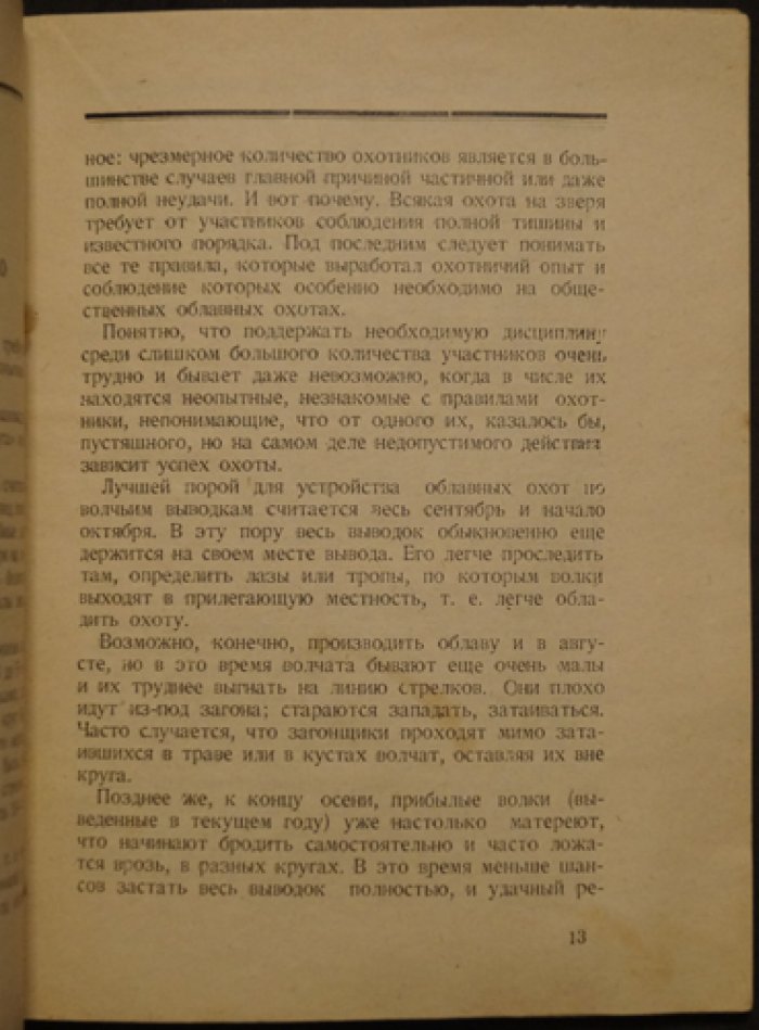 Облавные охоты: как организовать травлю серого хищника и вести себя охотнику