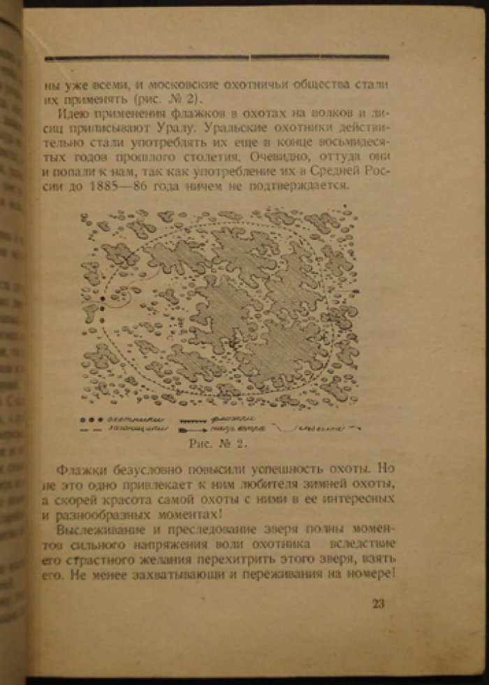 Облавные охоты: как организовать травлю серого хищника и вести себя охотнику