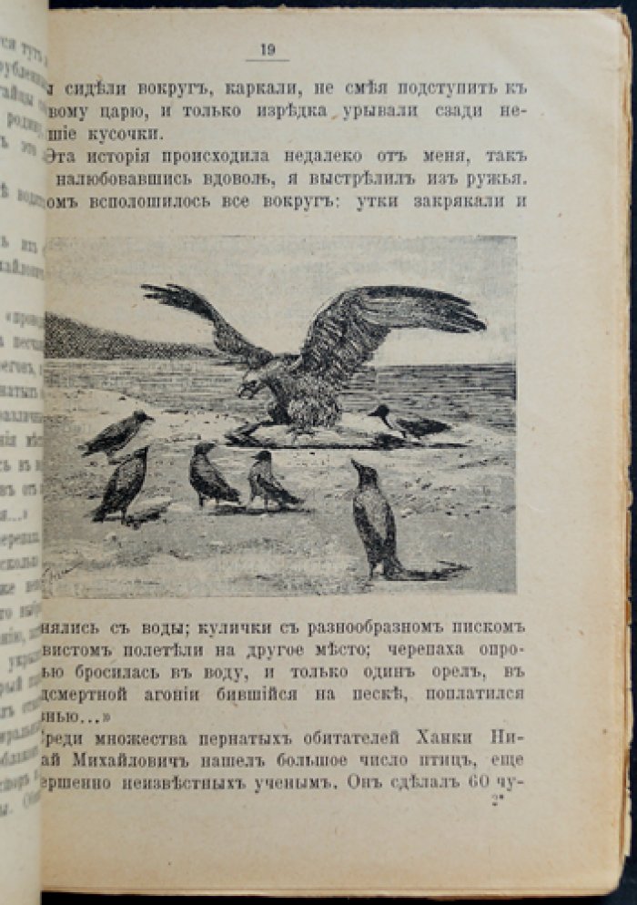Сно Евгений. Жизнь и путешествия Николая Михайловича Пржевальского (с рисунками)