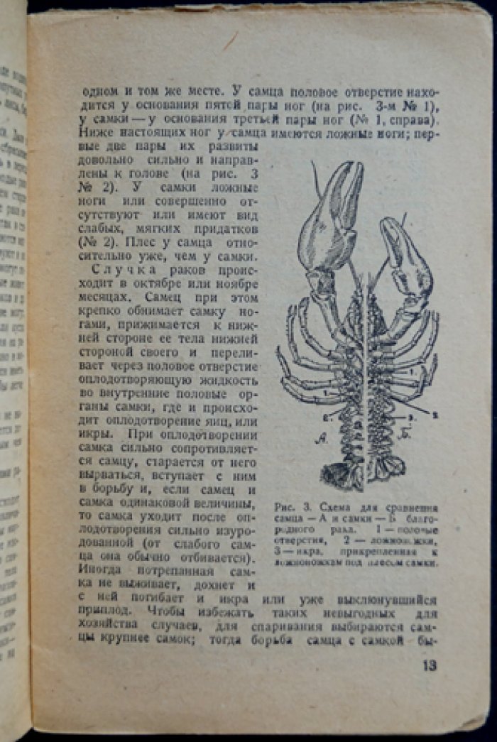 Рак: её жизнь, разведение и ловля (иллюстрированное издание)
