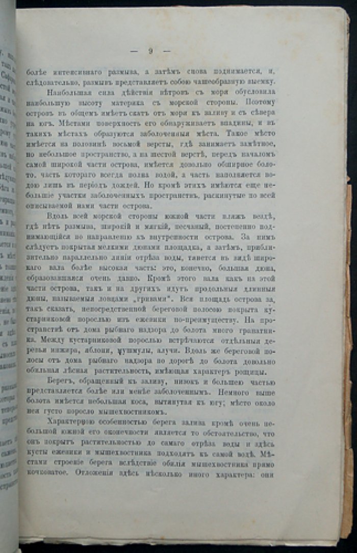 Остров Сара (Сара-остров): строение, природные особенности, флора и фауна