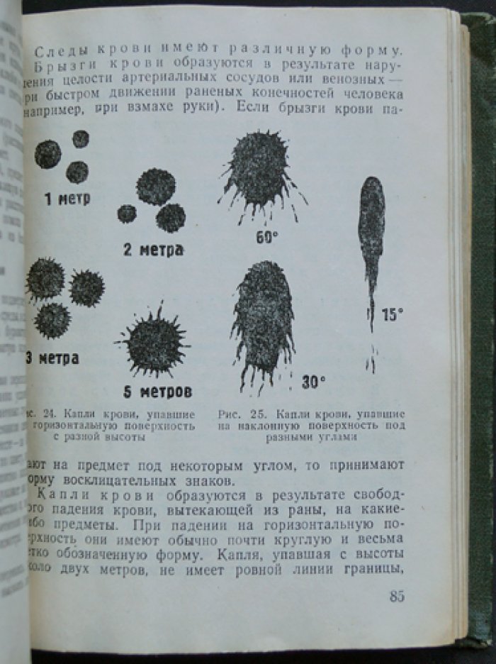 Первоначальные следственные действия: краткий справочник следователя (пособие для выездов на место происшествия)