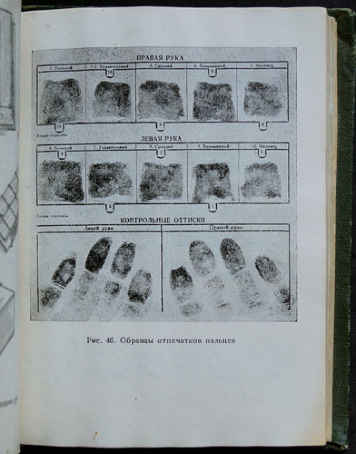 Первоначальные следственные действия: краткий справочник следователя (пособие для выездов на место происшествия)
