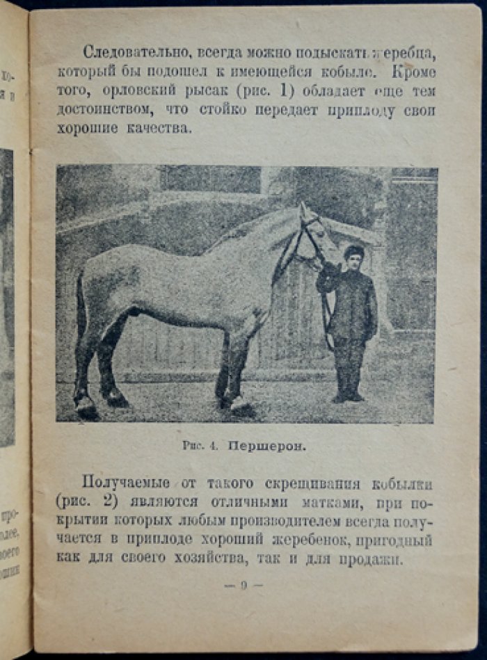 Как получить и вырастить хорошего жеребенка. Практическое руководство (2-е издание, 1926)