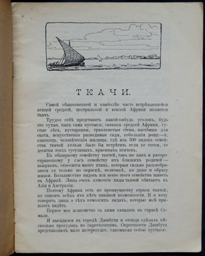 Чеглок (А. Ткачи): детские рассказы о природе по мотивам кругосветного путешествия