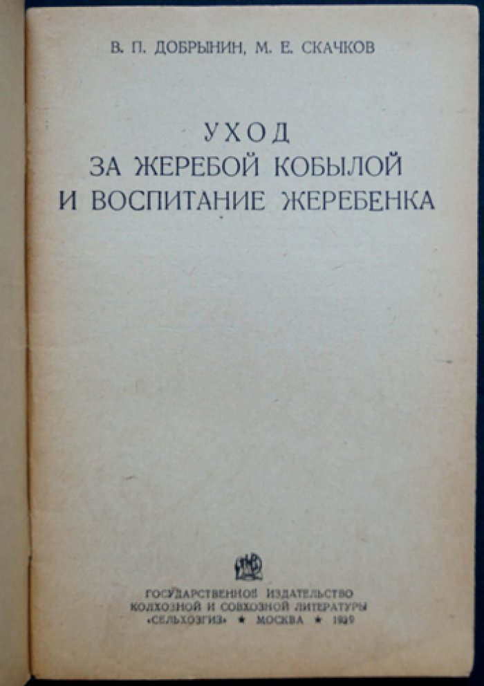 Уход за жеребой кобылой и воспитание жеребёнка: кормление, содержание и тренинг молодняка