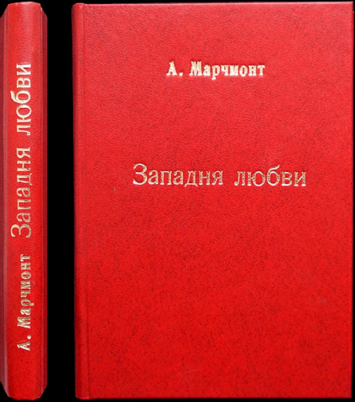 Западня любви (роман)