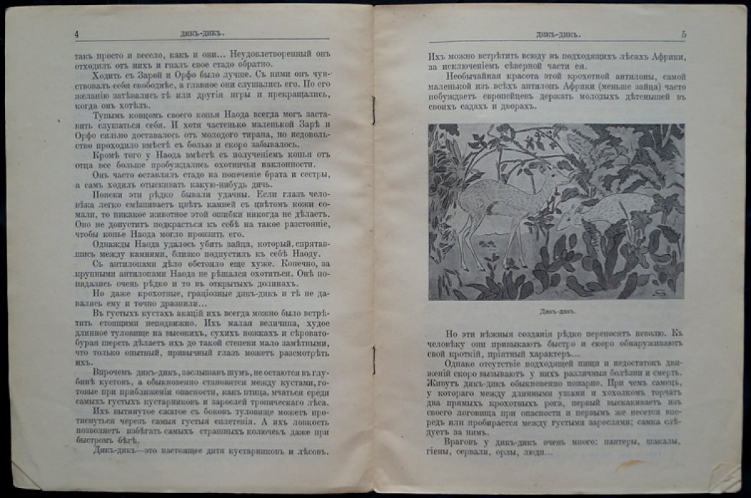Чеглок. Звери Центральной и Южной Африки: Дик-Дик — рассказы о природе с иллюстрациями В.А. Ватагина