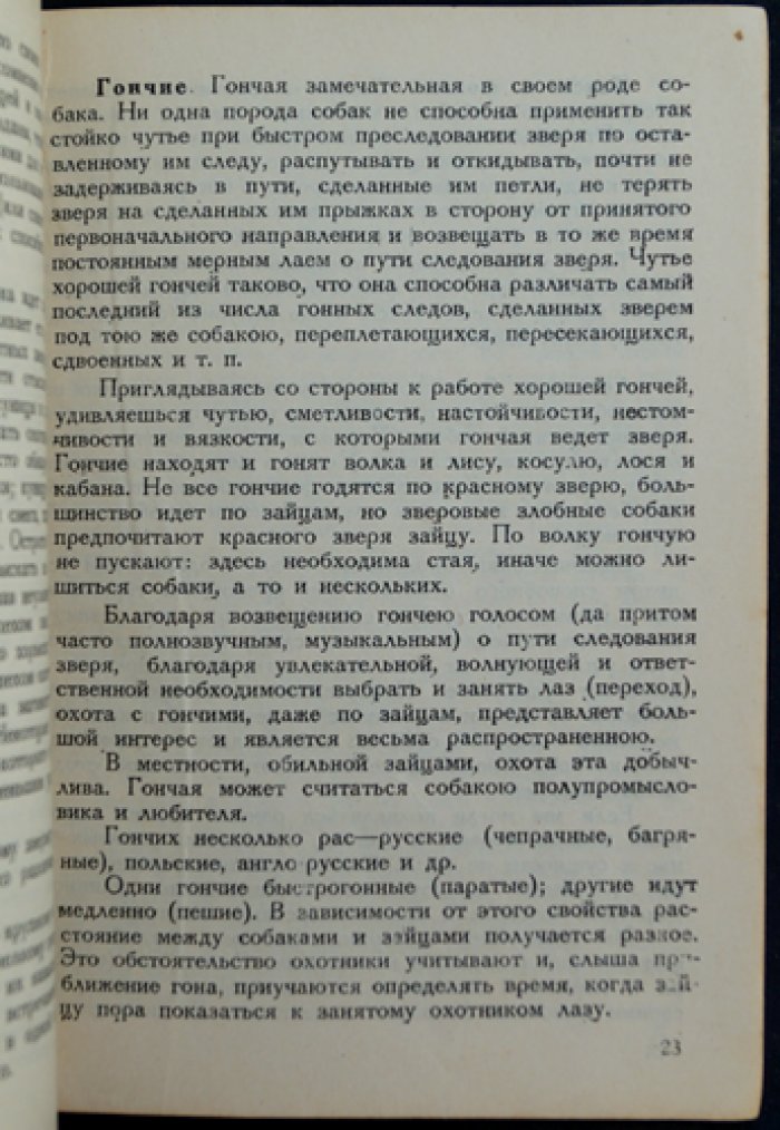 Что нужно знать начинающему охотнику: практическое руководство