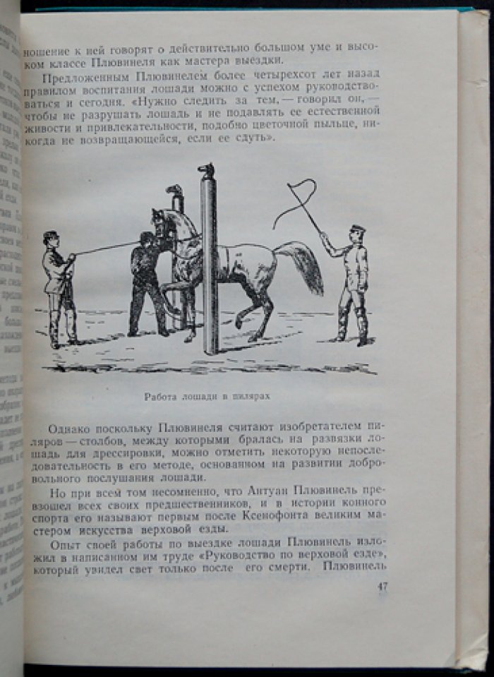 Возникновение и развитие конного спорта: очерк истории, школы верховой езды и эволюция дисциплин