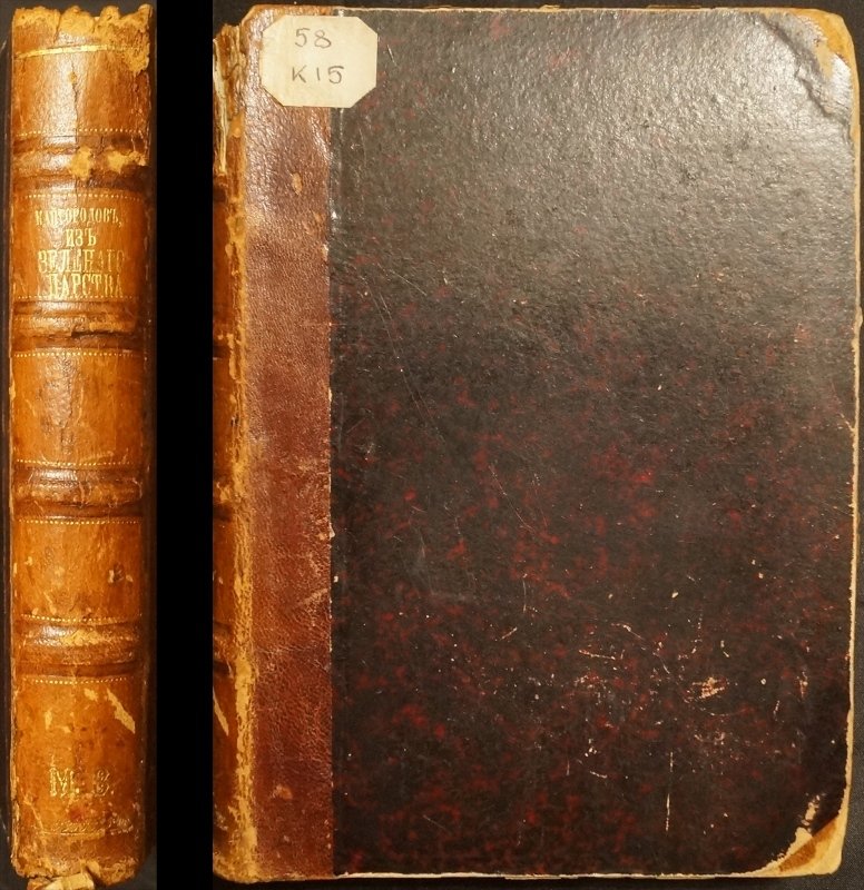 Кайгородов. Популярные очерки из мира растений (иллюстрированное издание, 1888)