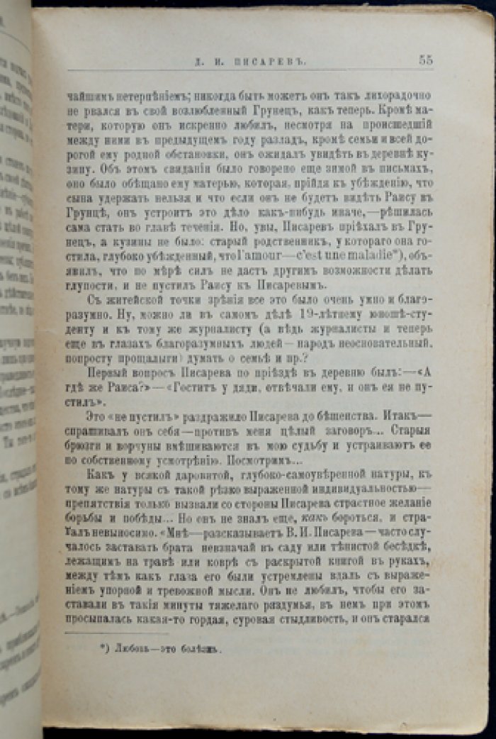 Д. И. Писарев: жизнь и литературная деятельность (биографический очерк)