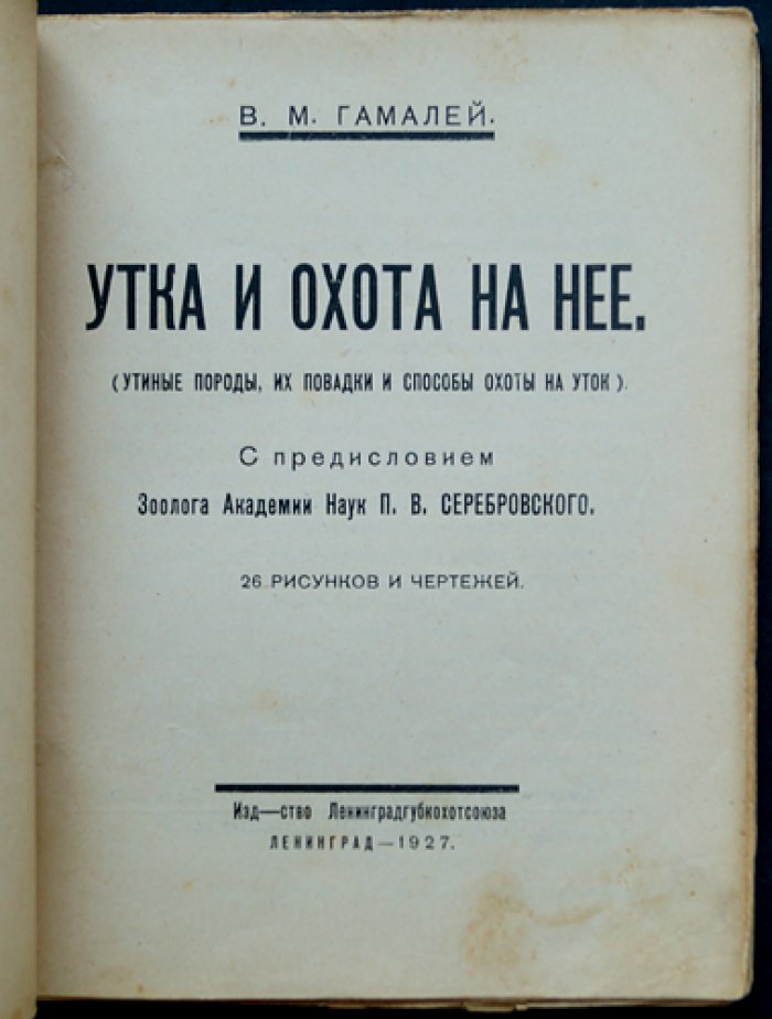 Утка и охота на нее. Породы, повадки и практические способы утиной охоты