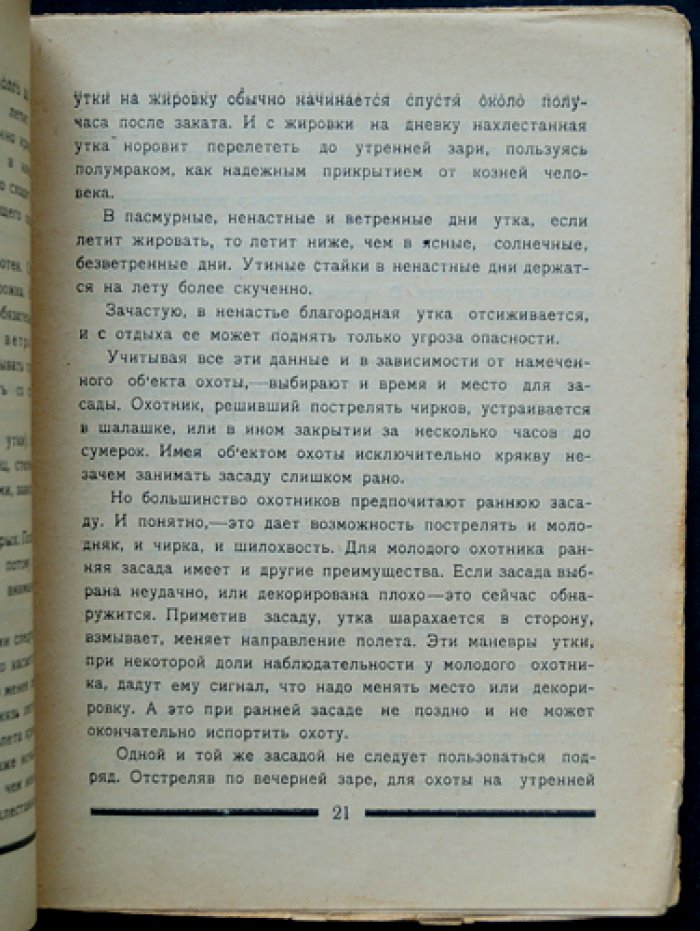 Утка и охота на нее. Породы, повадки и практические способы утиной охоты