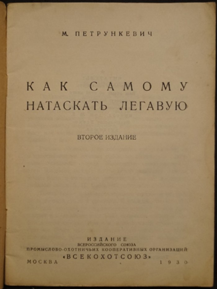 Как самостоятельно натаскать легавую: практическое руководство для начинающих охотников
