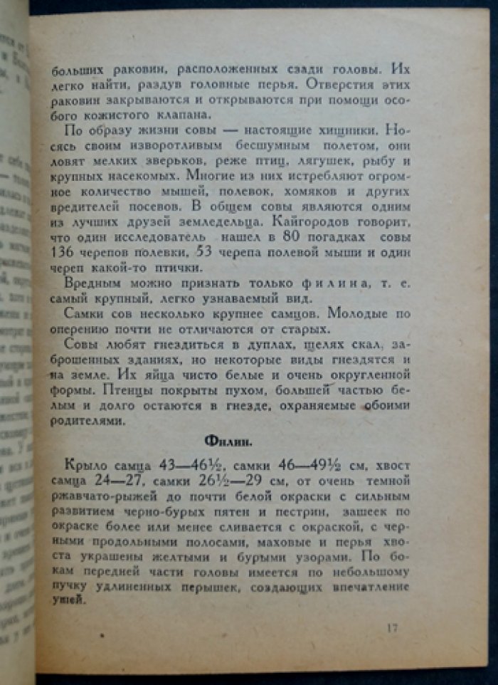 Хищные птицы и борьба с ними: краткое руководство для охотников (с разбором пользы и вреда пернатых хищников)