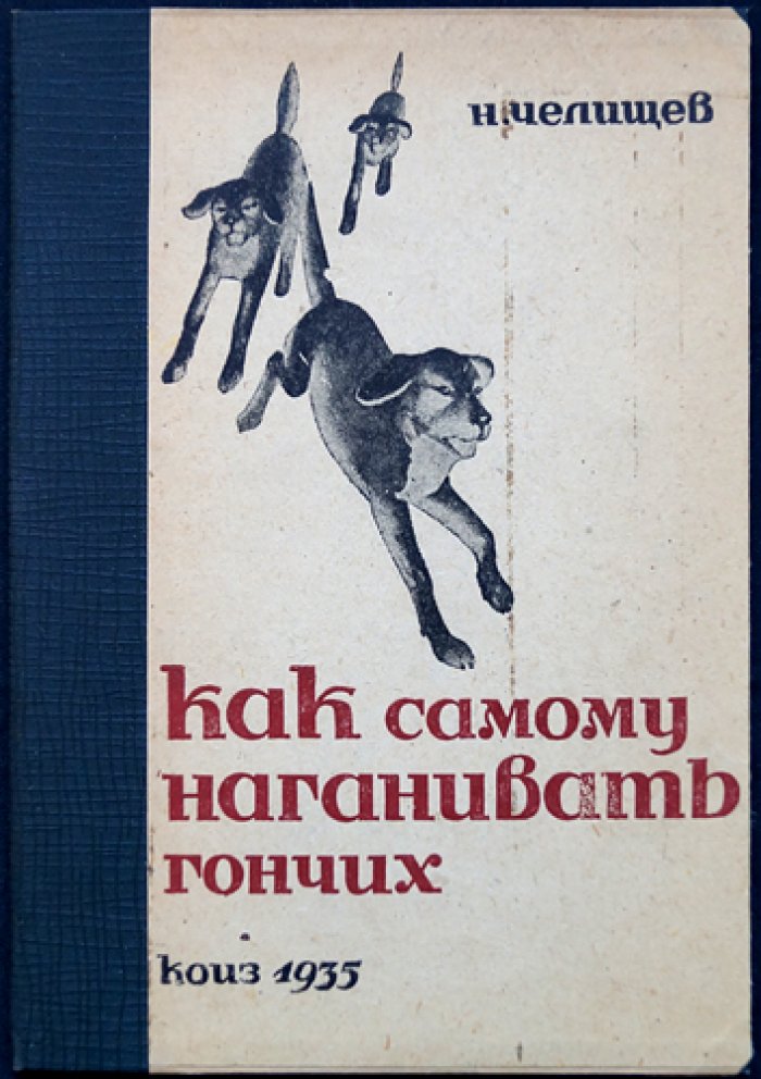 Как самому натаскивать (нагонять) гончих: практическое руководство для успешной охоты