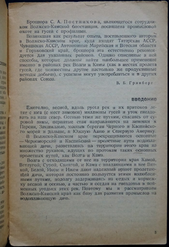 Охота на гусей на профиля (с «манным» гусем). Практическое руководство