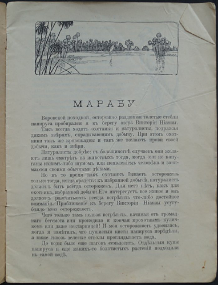 Чеглок А. Марабу: рассказы и наблюдения о природе