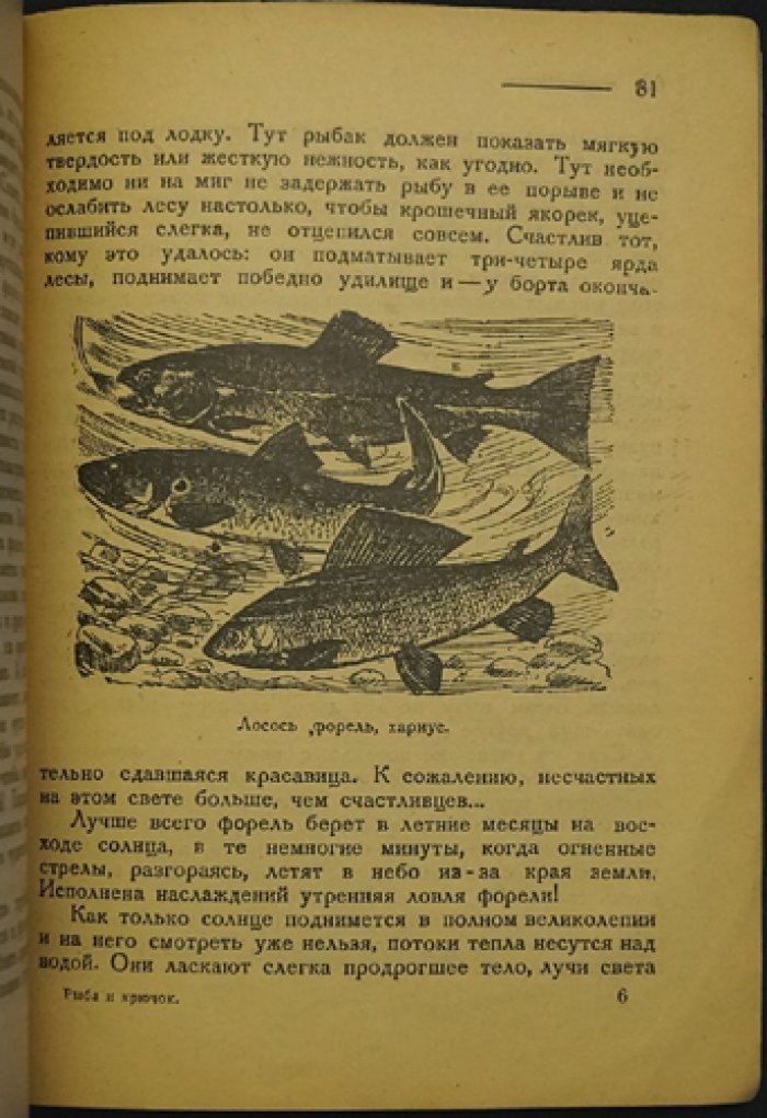 Лесник. Рыба и крючок: иллюстрированное издание (1928)