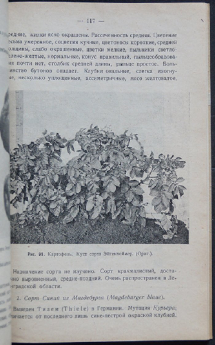 Веселовский. Картофель: селекция, сорта, выращивание и использование (с иллюстрациями)
