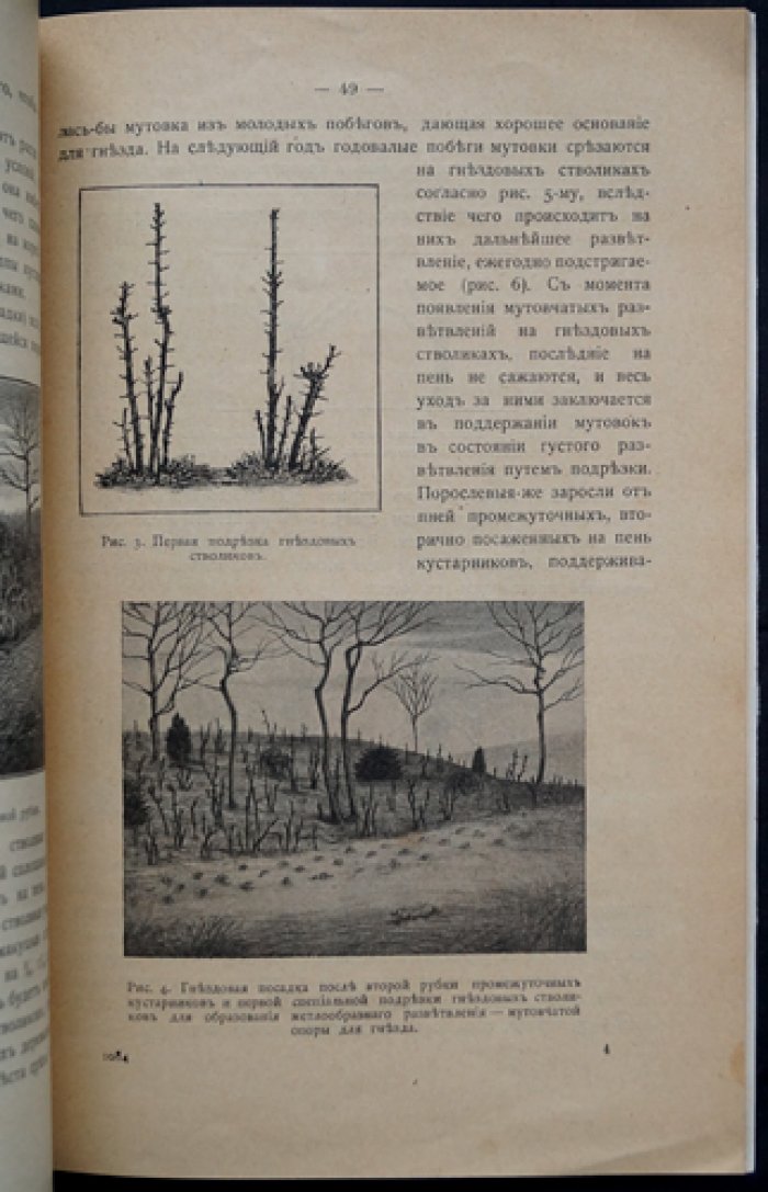 Охрана зверей и птиц, полезных в сельском хозяйстве (оттиск из Ежегодника Департамента Земледелия за 1914 год)