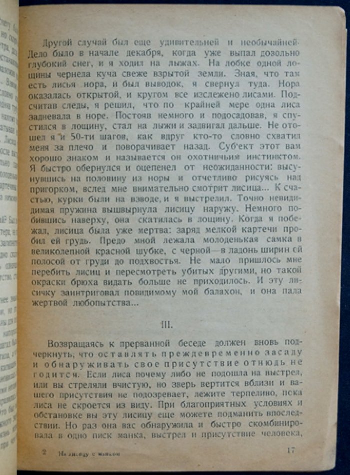 С манком на лису: охота и промысел