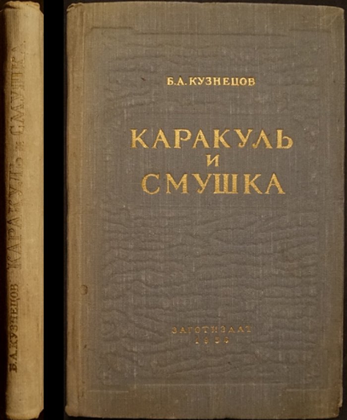 Каракуль и смушка: основы товароведения