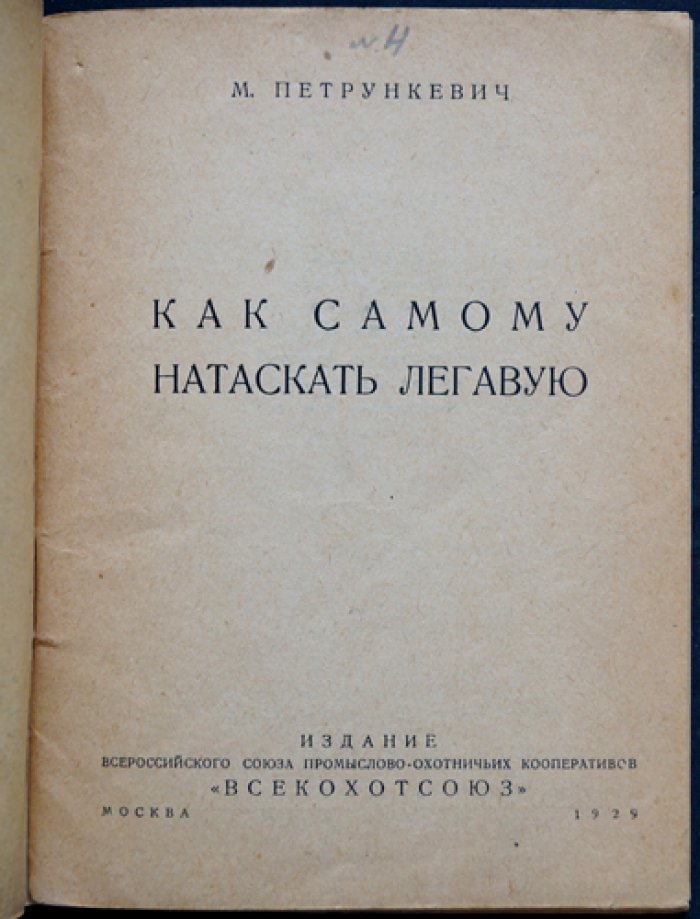 Как самостоятельно натаскать легавую: практическое руководство для начинающих охотников