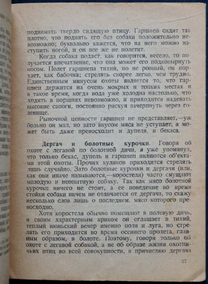 Как самостоятельно натаскать легавую: практическое руководство для начинающих охотников