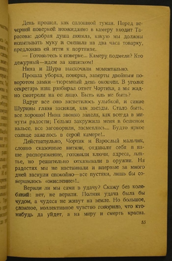 Новинское освобождение: побег 13-ти каторжанок из московской женской тюрьмы