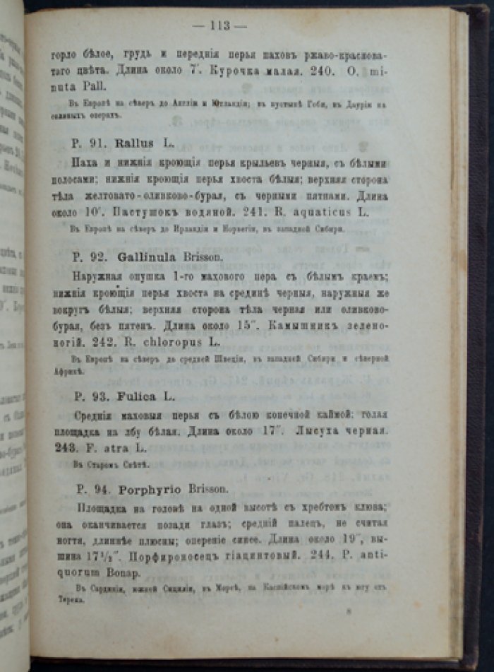 Определитель птиц Европейской России (по Кейзерлингу и Блазиусу)