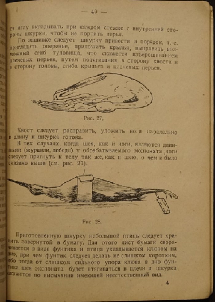 Набивка чучел птиц и зверей: приготовление шкурок и скелетов (практическое руководство)