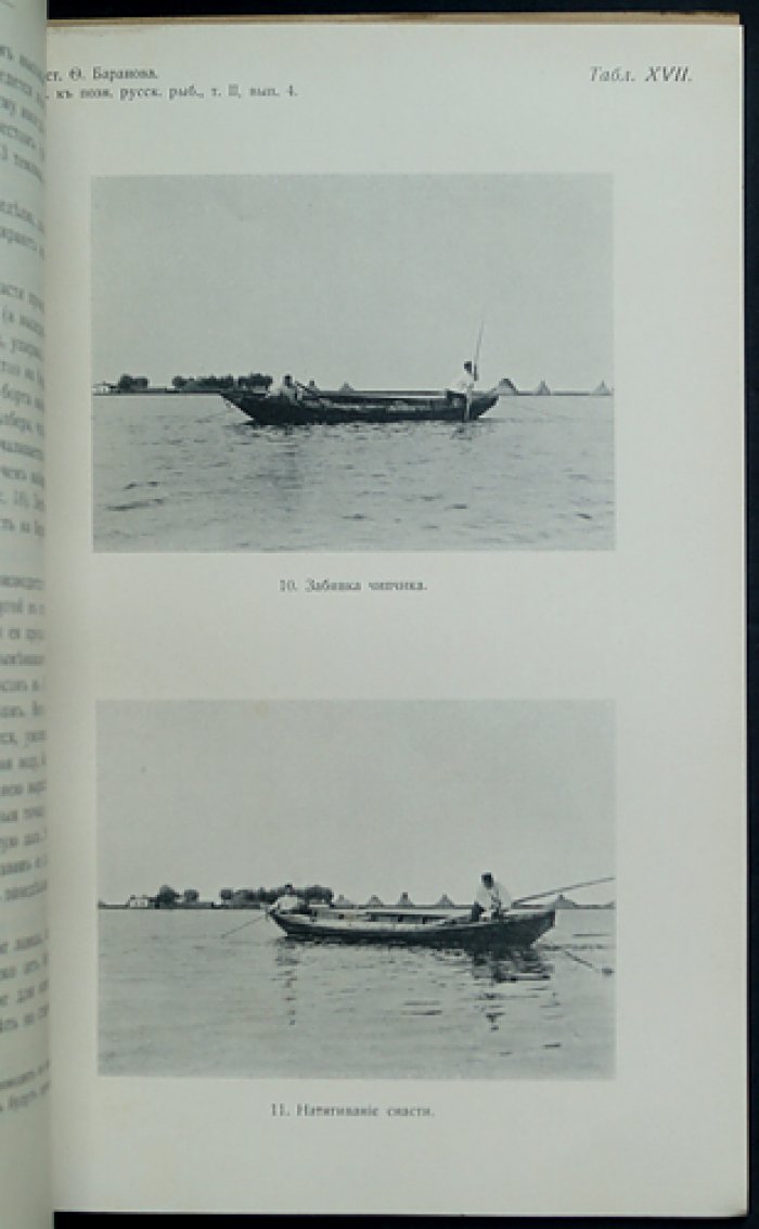 Материалы к познанию русского рыболовства. 1913. Том II, выпуск 4 (с приложениями таблиц)