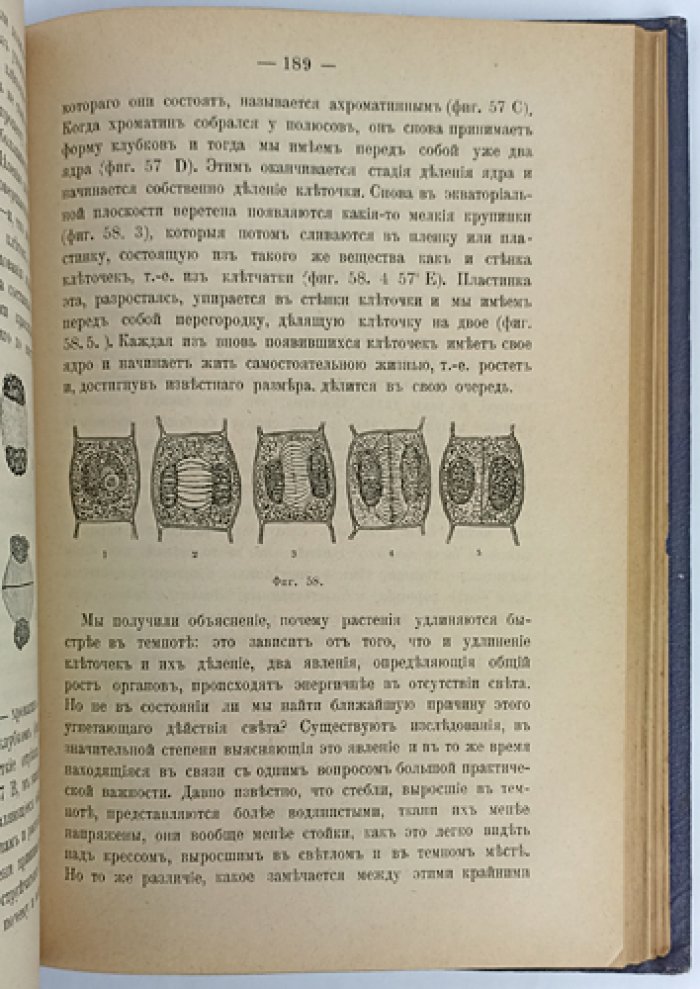 Тимирязев. Жизнь растения: десять общедоступных чтений (3-е изд., исправл. и доп.)