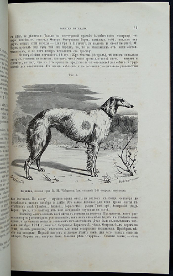 Журнал охоты. 1876 год, № 5 (Май). Императорское Общество охоты