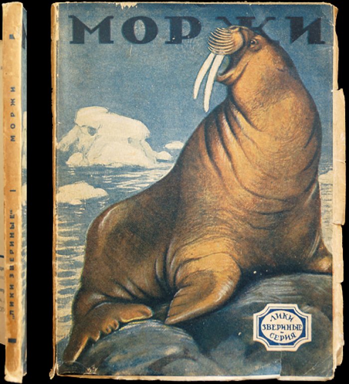 Моржи: необычайные рассказы из жизни ластоногих (серия «Лики звериные»)