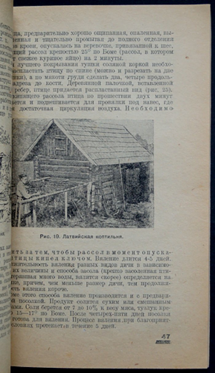 Как сохранить и переработать дичь: инструкции по копчению, посолке, приемке и транспортировке (1932)