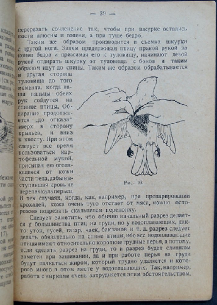 Демуар. Набивка чучел птиц и зверей: изготовление шкурок и скелетов (практическое руководство с рисунками и таблицами)