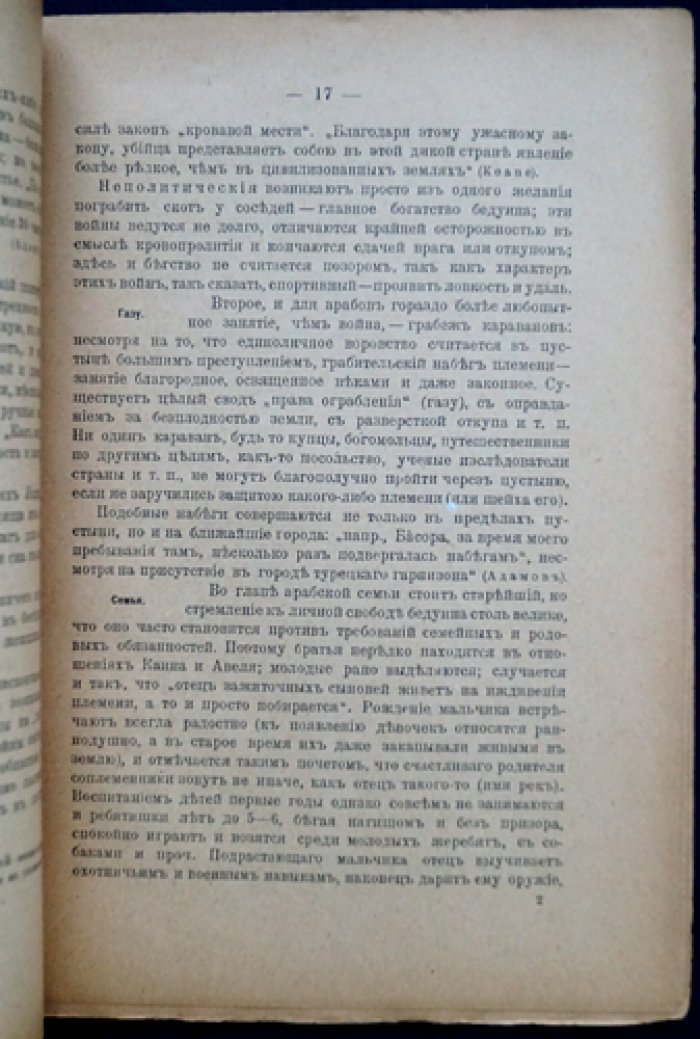 Мусульманские страны: Ислам, Аравия и Турция (очерк по истории и географии)